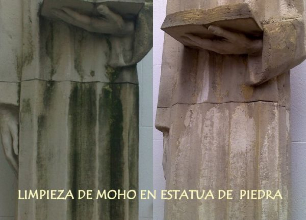 Limpiezas especiales